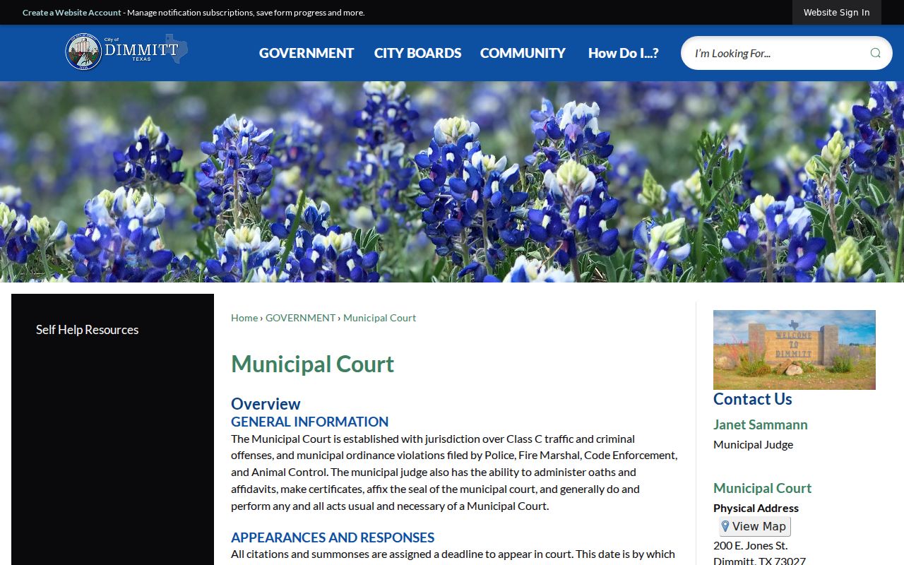Dimmitt criminal history and Dimmitt Municipal Court record information